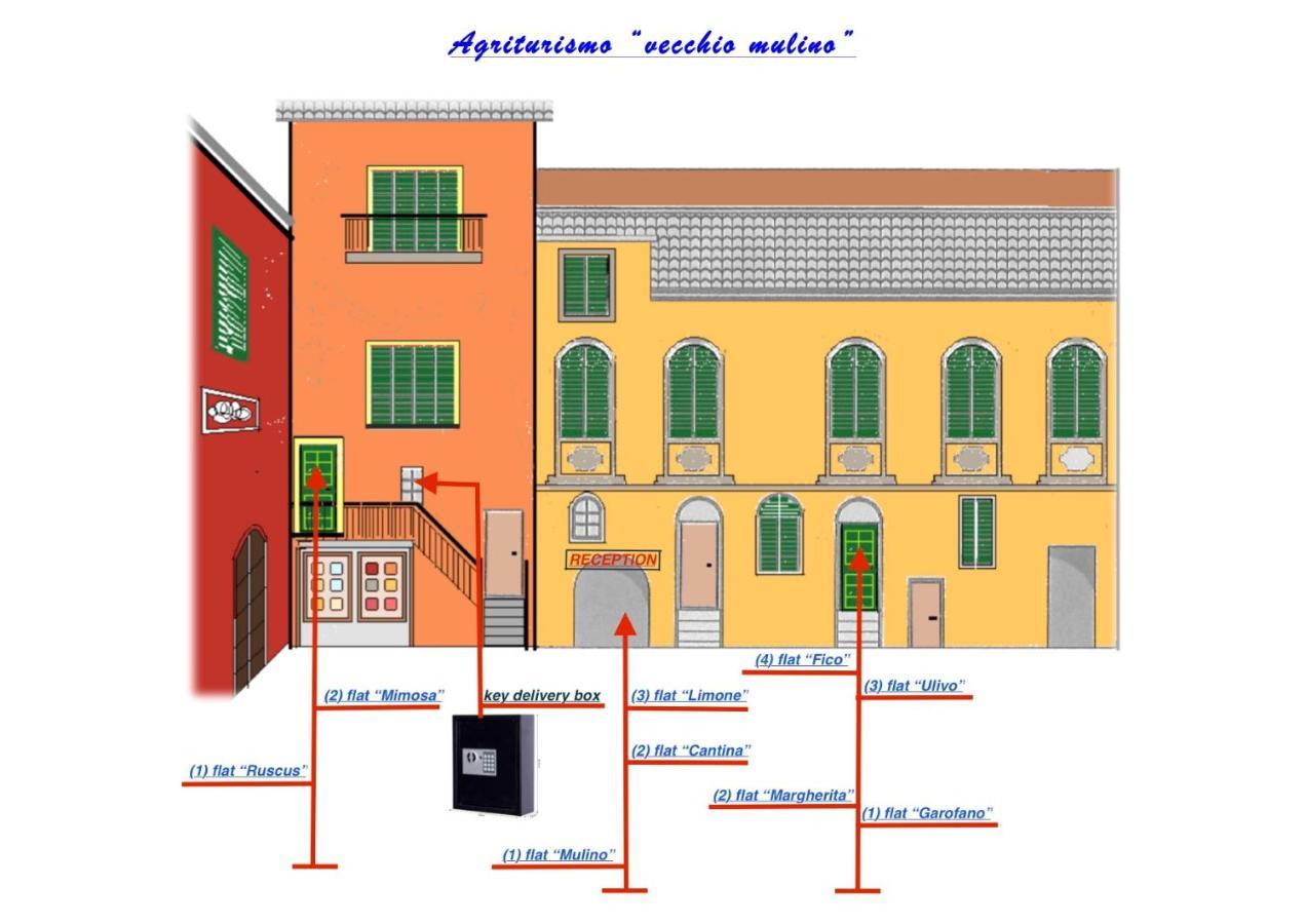 Agriturismo Il Vecchio Mulino Terzorio Exteriér fotografie